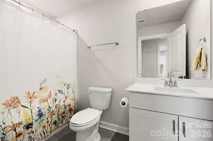 555 Palmarosa St, Fort Mill, SC 29715 - Photo 19