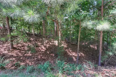 496 Kenway Loop, Mooresville, NC 28117 - Photo 7