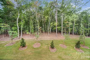 1131 Bandon Dr, Waxhaw, NC 28173 - Photo 25