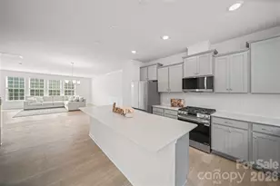 1131 Bandon Dr, Waxhaw, NC 28173 - Photo 13