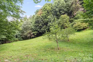 125 Hyacinth Dr, Clyde, NC 28721 - Photo 19