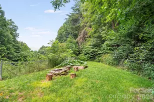 125 Hyacinth Dr, Clyde, NC 28721 - Photo 25