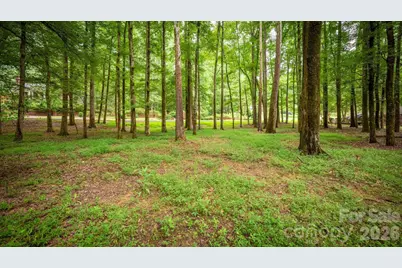 720 Saint Cloud Drive, Statesville, NC 28625 - Photo 13