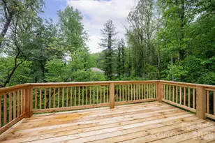 9 Nantahala St, Asheville, NC 28801 - Photo 11