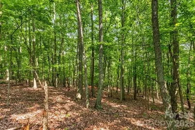 149 Mossy Oak Trail #167, Nebo, NC 28761 - Photo 5