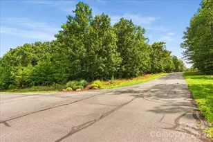 149 Mossy Oak Trail, Nebo, NC 28761 - Photo 1
