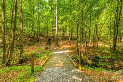 149 Mossy Oak Trail #167, Nebo, NC 28761 - Photo 37