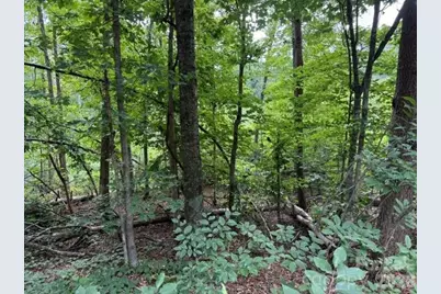 00 Chisholm Trail, Rutherfordton, NC 28139 - Photo 11