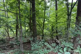 00 Chisholm Trail, Rutherfordton, NC 28139 - Photo 11