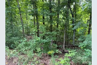 00 Chisholm Trail, Rutherfordton, NC 28139 - Photo 9
