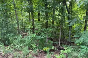 00 Chisholm Trail, Rutherfordton, NC 28139 - Photo 9