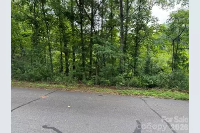 00 Chisholm Trail, Rutherfordton, NC 28139 - Photo 5