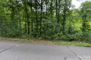00 Chisholm Trail, Rutherfordton, NC 28139 - Photo 5