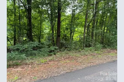00 Chisholm Trail, Rutherfordton, NC 28139 - Photo 7