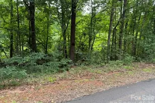 00 Chisholm Trail, Rutherfordton, NC 28139 - Photo 7