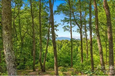207 Mossy Oak Trail #166, Nebo, NC 28761 - Photo 3
