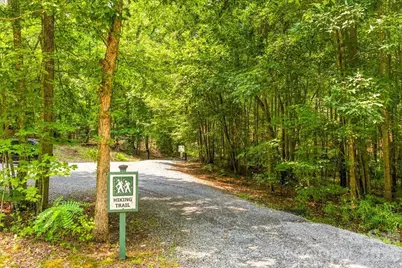 207 Mossy Oak Trail #166, Nebo, NC 28761 - Photo 45