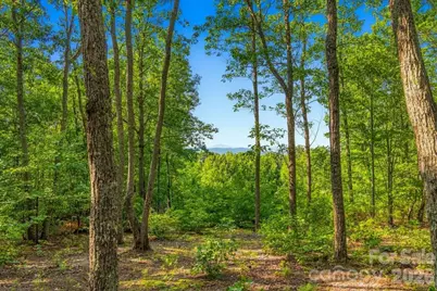 207 Mossy Oak Trail #166, Nebo, NC 28761 - Photo 9