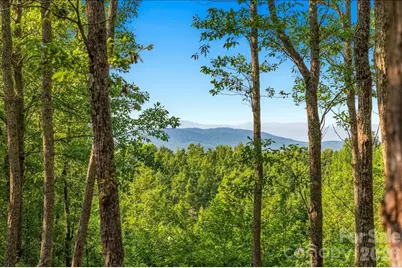 207 Mossy Oak Trail #166, Nebo, NC 28761 - Photo 5