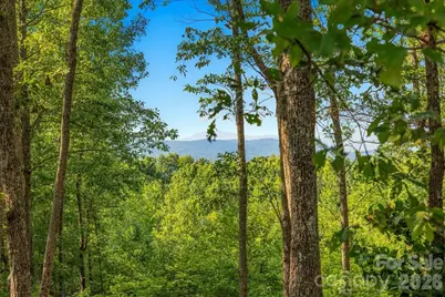 207 Mossy Oak Trail #166, Nebo, NC 28761 - Photo 7