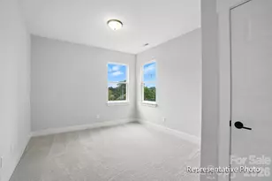 6022 New River Dr, Huntersville, NC 28078 - Photo 19