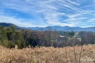 73 Union Chapel Rd, Weaverville, NC 28787 - Photo 1