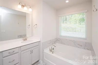 3848 Amalia Place, Indian Land, SC 29707 - Photo 29