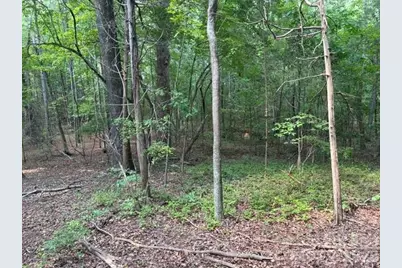 4501 Highway 5 Highway, Rock Hill, SC 29732 - Photo 21