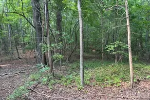 4501 Hwy 5 Hwy, Rock Hill, SC 29732 - Photo 21