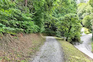 477 Mountain Forest Estate, Sylva, NC 28779 - Photo 19