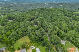 18 Buckle Ridge, Weaverville, NC 28787 - Photo 39