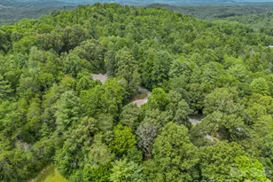 18 Buckle Ridge, Weaverville, NC 28787 - Photo 45