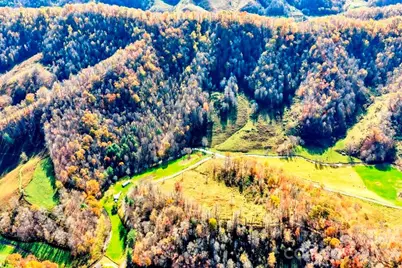 Tbd E Little Horse Creek Road, Lansing, NC 28643 - Photo 3