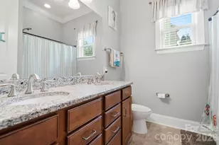 12726 Rusty Blackbird Wy, Charlotte, NC 28278 - Photo 33