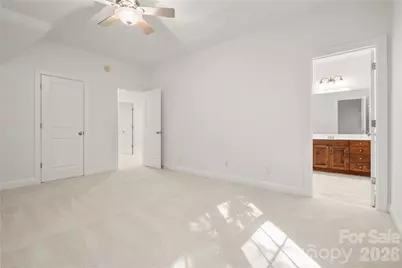 868 Savile Lane, Fort Mill, SC 29715 - Photo 37