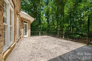 868 Savile Ln, Fort Mill, SC 29715 - Photo 43