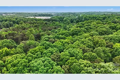 1310 Mount Olive Road, Statesville, NC 28625 - Photo 5