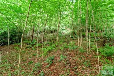Lot 17R Kilkenney None, Boone, NC 28607 - Photo 9