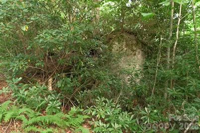 Lot 17R Kilkenney None, Boone, NC 28607 - Photo 3