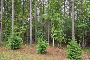 2910 Nc Hwy 109 Hwy N, Troy, NC 27371 - Photo 7