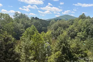 4991 Albert Williams Road W, Connelly Springs, NC 28612 - Photo 3