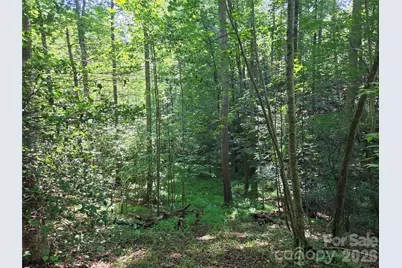 700 Nelson Lane, North Wilkesboro, NC 28659 - Photo 25
