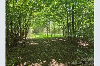 700 Nelson Lane, North Wilkesboro, NC 28659 - Photo 3