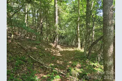 700 Nelson Lane, North Wilkesboro, NC 28659 - Photo 43