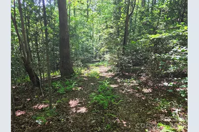 700 Nelson Lane, North Wilkesboro, NC 28659 - Photo 23