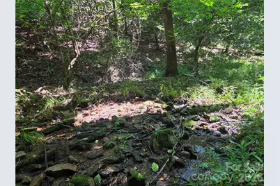 700 Nelson Lane, North Wilkesboro, NC 28659 - Photo 5