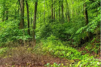 Tbd Hemlock Circle #132, Black Mountain, NC 28711 - Photo 7