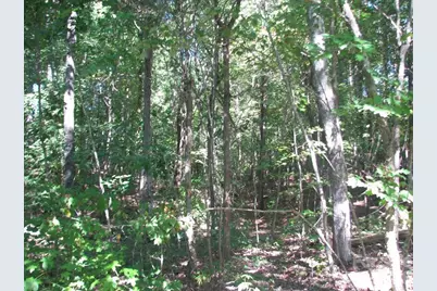 25 Ac Brandon Road, Clover, SC 29710 - Photo 3