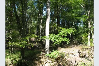 25 Ac Brandon Road, Clover, SC 29710 - Photo 3