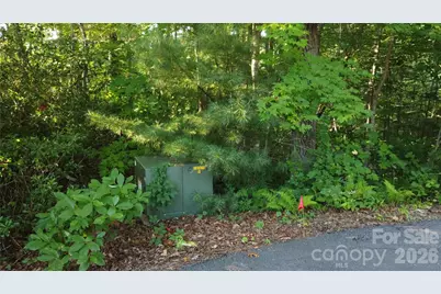 0000 Havens Creek Road #4, Black Mountain, NC 28711 - Photo 3
